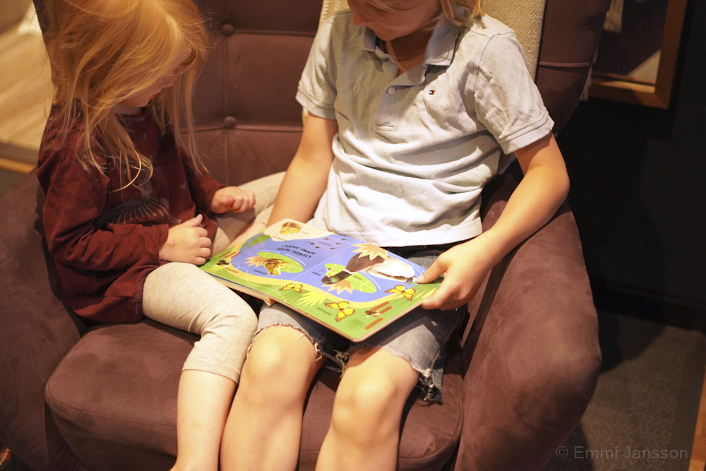 Original Sokos Hotel Vaakuna