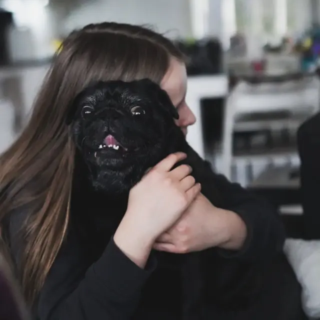 Onko eläinten hoitaminen vain käytännön järjestelyä… vai jotain paljon enemmän? 🐾✨

Meillä on vuosien ajan ollut ystävien koiria ja kissoja hoidossa – välillä lomien ajaksi, välillä arjen helpotukseksi. Ja voi miten paljon se on antanut meidän perheelle… erityisesti lapsille. 🤍

Eläinten kanssa eläminen opettaa asioita, joita ei voi oikein opettaa sanomalla:
🐶 empatiaa
🐱 vastuuta
🐾 kärsivällisyyttä
💛 läsnäoloa
🌿 tunnetaitoja

Mutta ehkä tärkein on vuorovaikutus. 🫶

Eläimet eivät puhu – ja silti ne kertovat koko ajan jotain. Lapsi oppii lukemaan eleitä, ilmeitä ja kehon kieltä. Milloin lähestyä, milloin antaa tilaa.
Se on aika mieletön taito. ✨

Meidän neljä lasta ovat super eläinrakkaita, ja on ollut ihana seurata, miten jokainen kohtaa eläimet omalla tavallaan. 🐾

Välillä meillä on myös “vastuuhoitaja”-rooli: yksi lapsista huolehtii arjen perusjutuista – ruokinta, lenkitys, tassujen pyyhintä ja sotkut.

Ei aina sitä söpöintä hommaa 🙈 mutta juuri siinä opitaan eniten.

Nyt arkeen on tullut uusi lisä: teen lemmikkien hoitoa Pethotelin kautta 🐕🏡

Ja parasta? Lasten innostus. He näkevät, miten erilaisia persoonia eläimissä on – eikä ole vain yhtä tapaa olla kelpo koira tai kissa. 🤍

Jokainen eläin on yksilö.

Ja jokainen kohtaaminen opettaa – myös meistä ihmisistä.

Välillä tuntuu, että lapsi ei muuta virikettä kaipaakaan kuin lemmikin. Pehmeä turkki rauhoittaa, läsnäolo lohduttaa ja silmät kertovat: minä välitän. 🐶🐱 Usean lemmikin kanssa voi hassutella, höpsötellä ja riehua. 🤩

Ehkä eläinten hoitaminen ei olekaan vain hoitamista… vaan hiljaista kasvatustyötä sydämen kautta. 🐾✨ Oon niin kiitollinen, että meille on luotettu jo monta upeaa lemmikkiä hoitoon vuosien varrella. Kaikista lemmikeistä on jäänyt jälki sydämeen. ❤️
.
#pethotel #lapset #lemmikit #lapsiperhe #kasvatus @hoitopaikkalemmikille